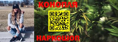mdpv Краснознаменск