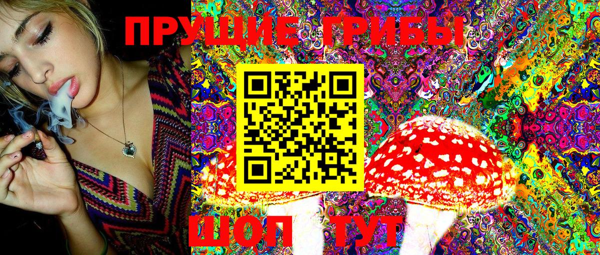 Дзержинский  наркошоп  Псилоцибиновые грибы MAGIC MUSHROOMS  Вход с VPN  Галлюциногенные грибы Magic Shrooms 